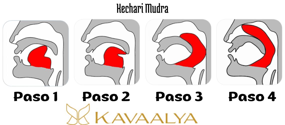 pasos de kechari mudra