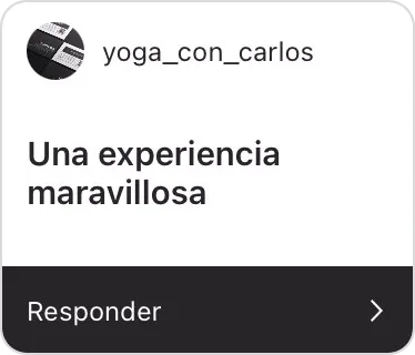 yin-es-insta-01.png