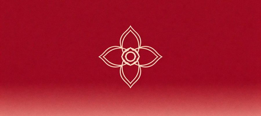 chakra raiz